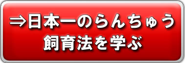 お申し込みはこちら
