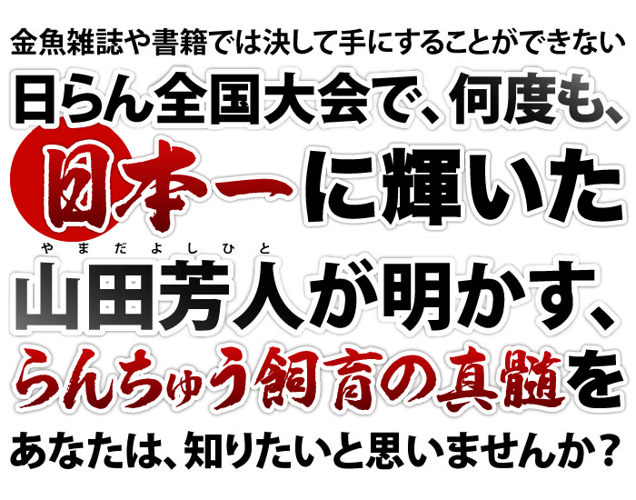 山田芳人のらんしゅう飼育