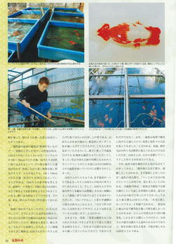 金魚伝承1